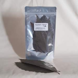 NatureBoys Chestnut Leaves 'M' 12-18cm (10pc)