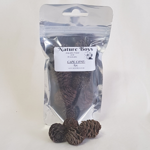 NatureBoys Cape Cones 8pc