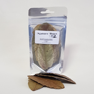 NatureBoys Guava Leaves 'M' 9-12cm (10pc)