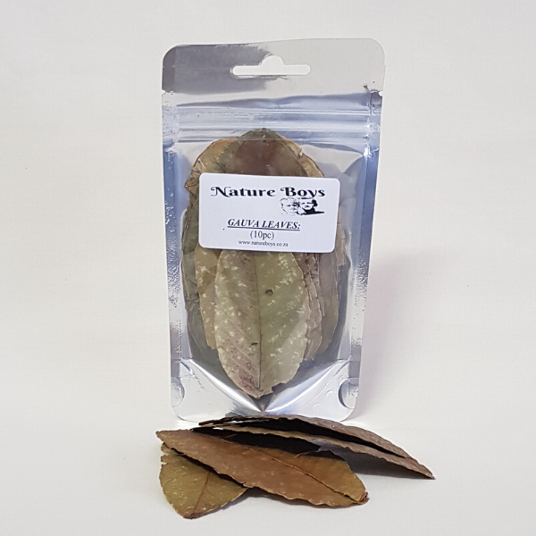 NatureBoys Guava Leaves 'M' 9-12cm (10pc)