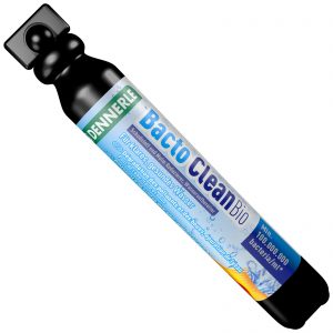 Filter Bacteria